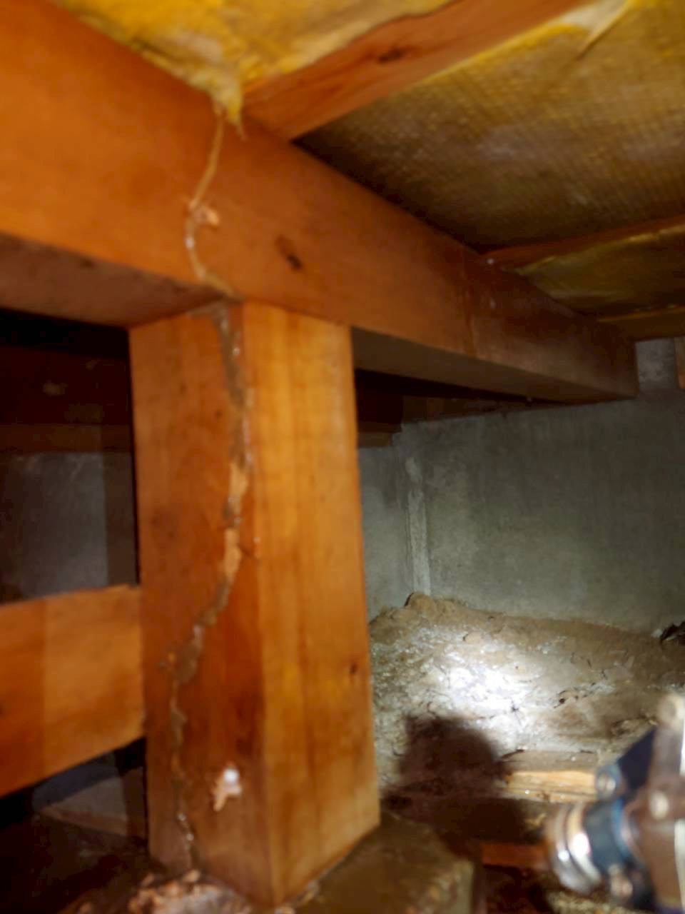 千葉市にてシロアリ予防工事・防蟻処理〈築30年シロアリの心配から〉の外観
